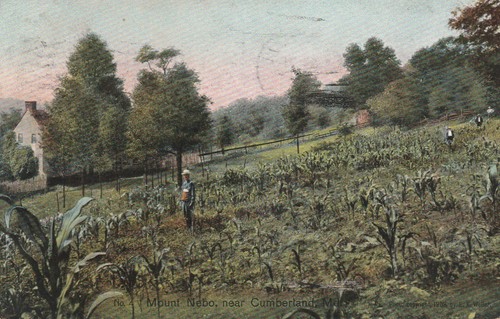 Cumberland mount nebo - mount,