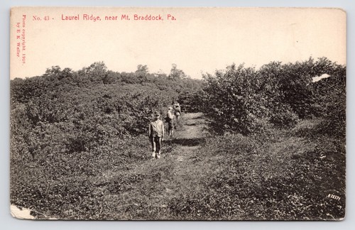 Laurel ridge hikers - laurel, weller